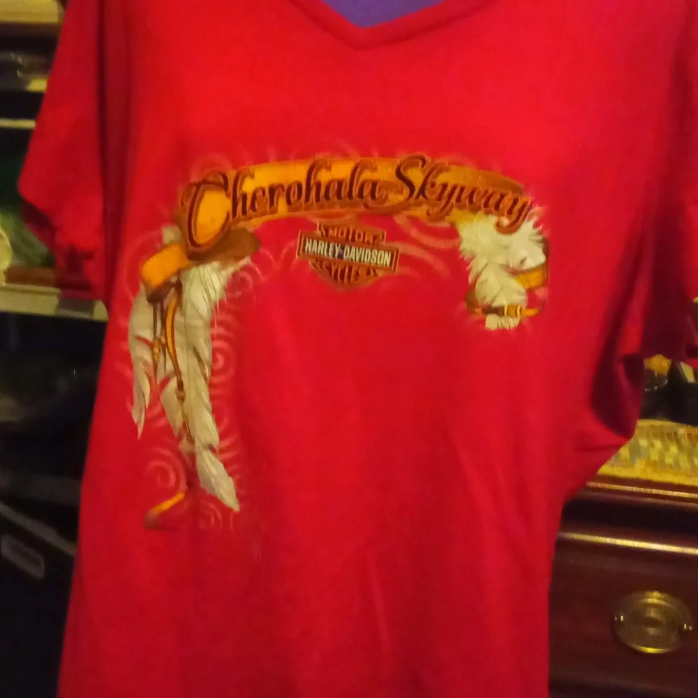 Harley-Davidson Red Graphic T-Shirt - Picture 2 of 4